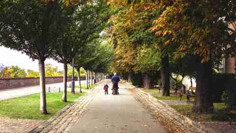 Grandfather and grandson walking