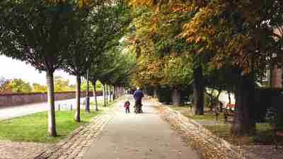 Grandfather and grandson walking